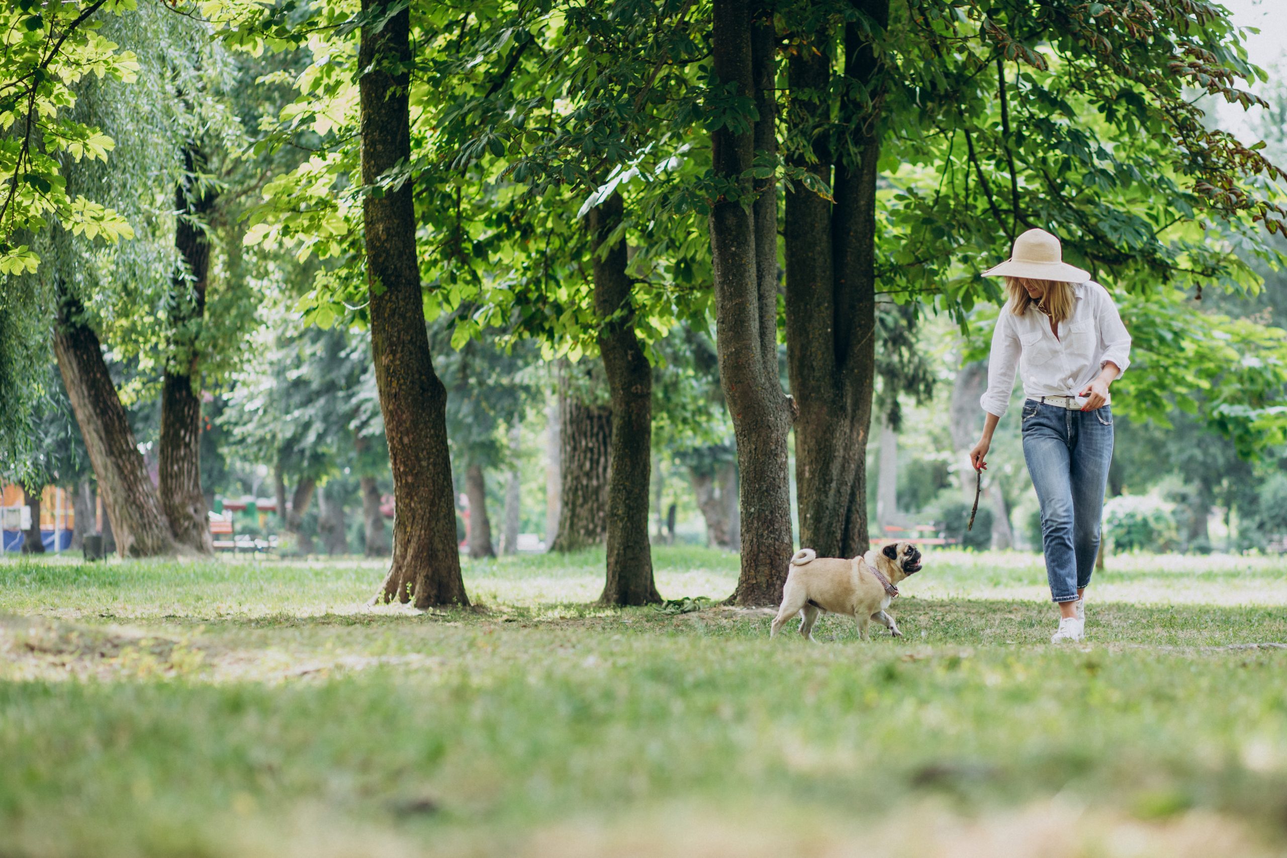 The dog likes the park. Прогулка с собакой в парке. Парки Москвы для прогулки с собакой. Прогулка в летнем парке. Прогулка с собакой летом.