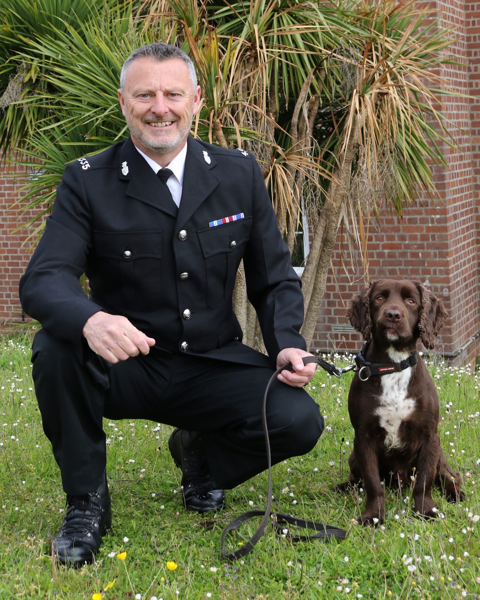 PLYMOUTH RESCUE DOG ROLO PREPARES FOR FINAL MISSION AT G7